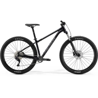 Велосипед 29" Merida BIG.TRAIL 200 glossy black (matt cool grey)