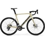 Велосипед 28" MERIDA REACTO RIVAL-EDITION silk champange (black)