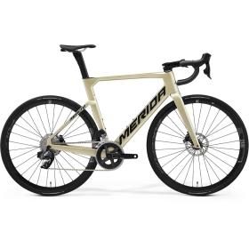 Велосипед 28" MERIDA REACTO RIVAL-EDITION silk champange (black)