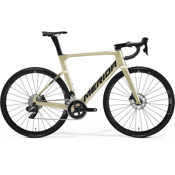 Велосипед 28" MERIDA REACTO RIVAL-EDITION silk champange (black)