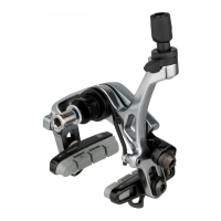 Тормоза SRAM Red D1 Rear Carbon 10mm Nut