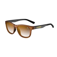 Очки Tifosi SWANK, Crystal Brown/Onyx с линзами Brown Gradient